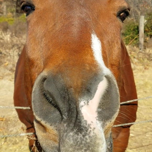 Lots of cute stuff!!😊😊 - Picture 3 of 12